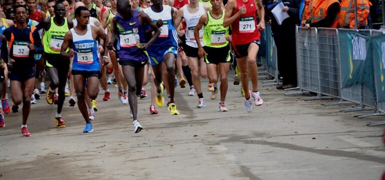 Zeezichtloop Petten